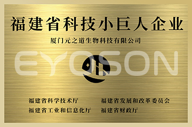 福建省科技小巨人企業(yè)