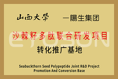 山西大學(xué)沙棘籽多肽聯(lián)合研發(fā)項目轉化推廣基地