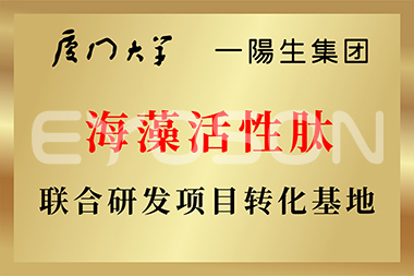 廈門(mén)大學(xué)海藻活性肽聯(lián)合研發(fā)項目轉化基地