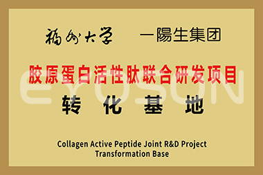 福州大學(xué)膠原蛋白活性肽聯(lián)合研發(fā)項目轉化基地