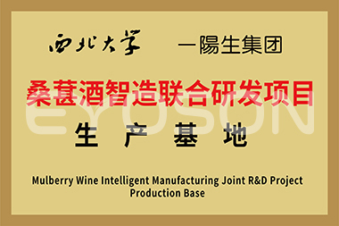 西北大學(xué)桑葚酒智造聯(lián)合研發(fā)項目生產(chǎn)基地